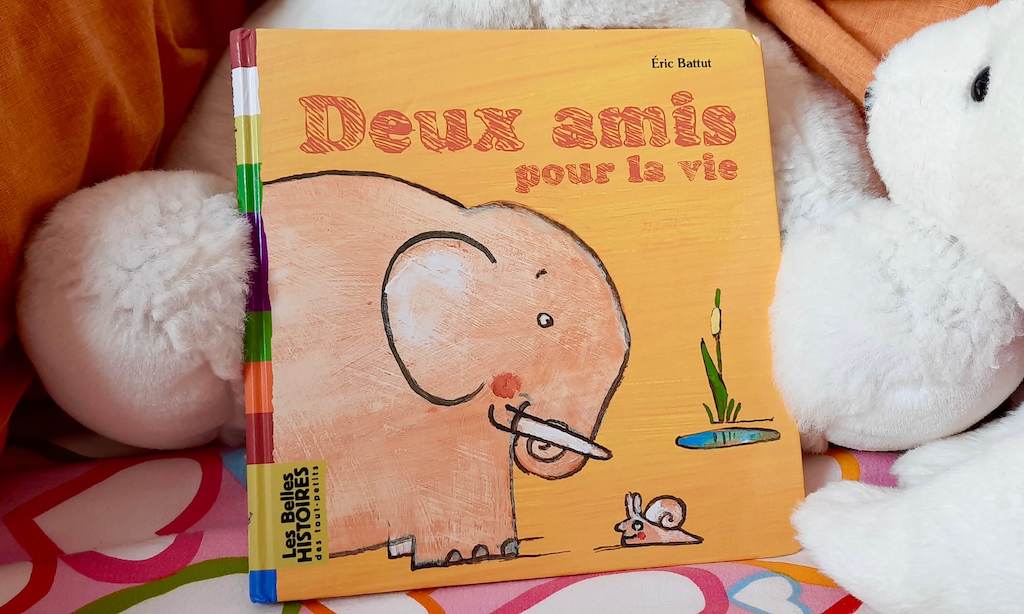 Book Deux amis pour la vie on a pink and white background